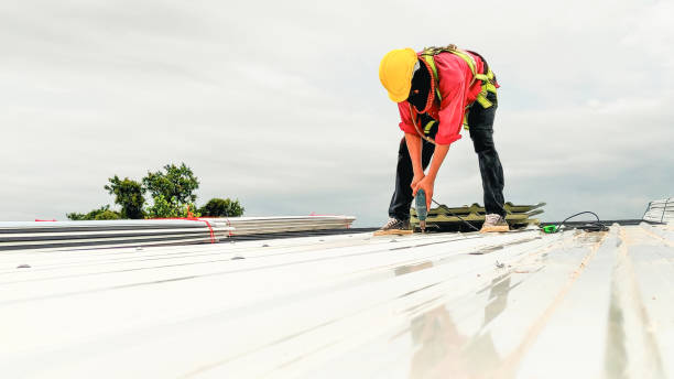Professional Roofing Service in Frazee, MN